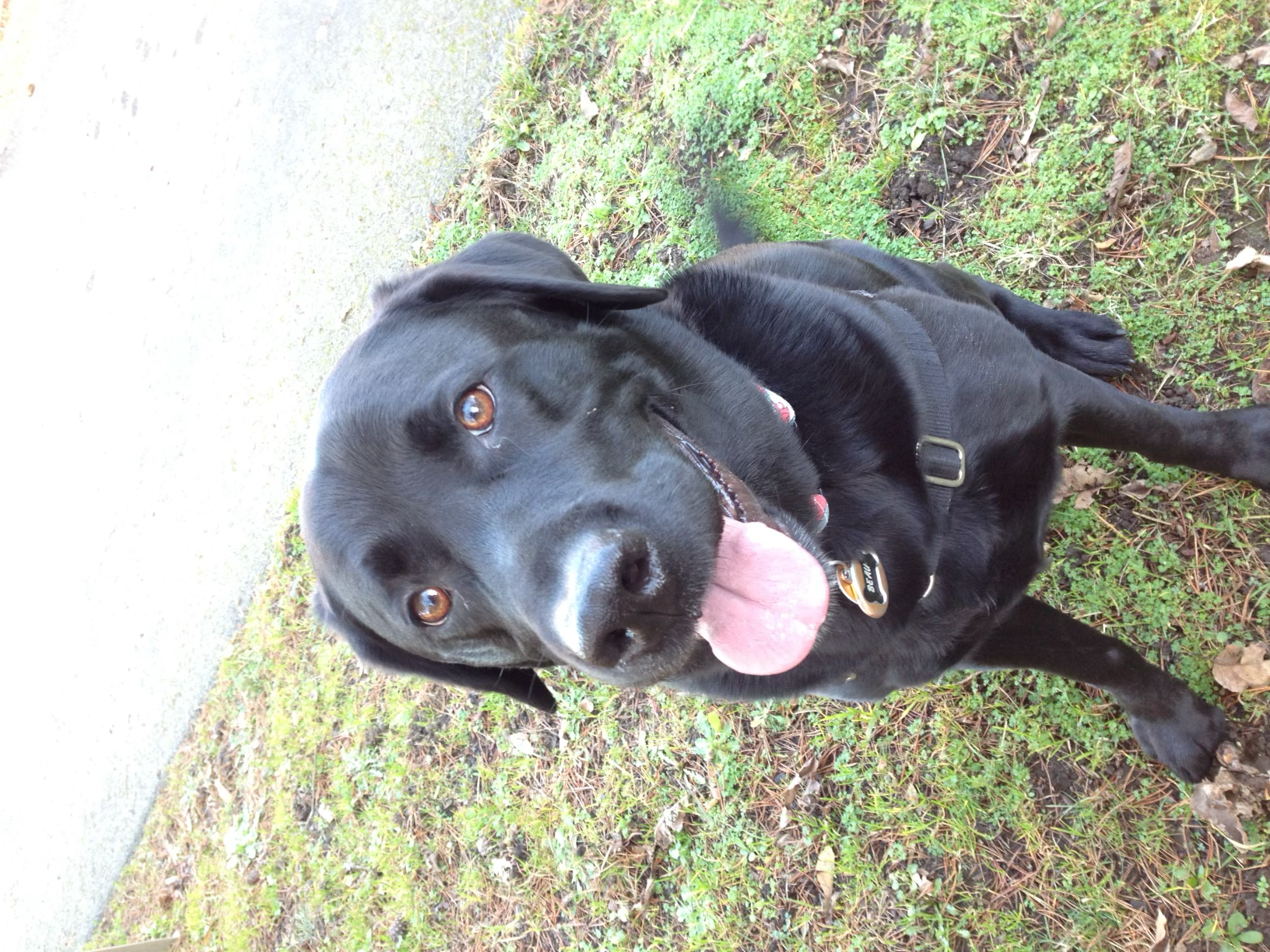 Tongue out Tuesday